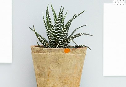 Latest news post